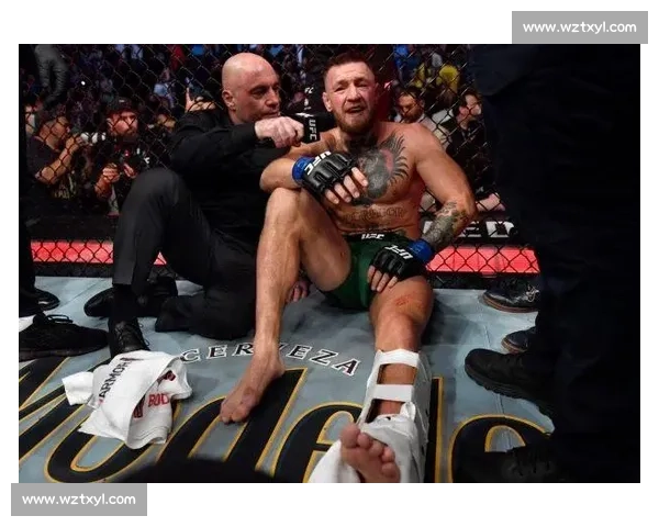 UFC世纪对决嘴炮康纳挑战不败王者小麻哈比布擂台恩怨全面回顾